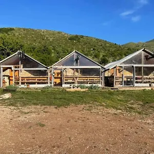 Cajupi Gjirokastër